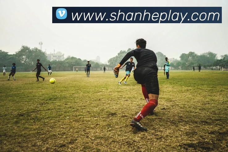 多媒体互动体验